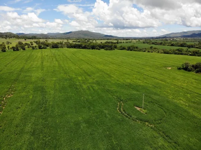 Fazenda de 78 alqueires a venda em Niquelandia-GO