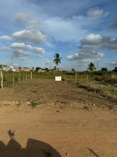 Lote 7MTX21MT
