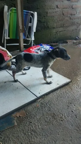 Doação