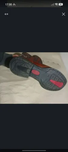 Bota