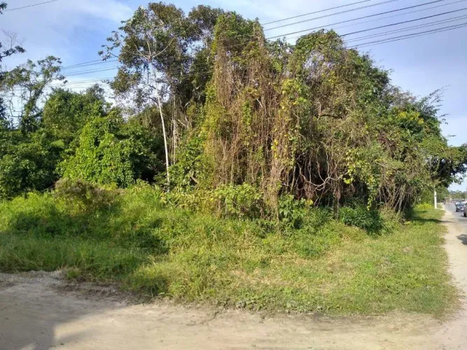 Terreno para Venda em Itanhaém, Jardim Coronel