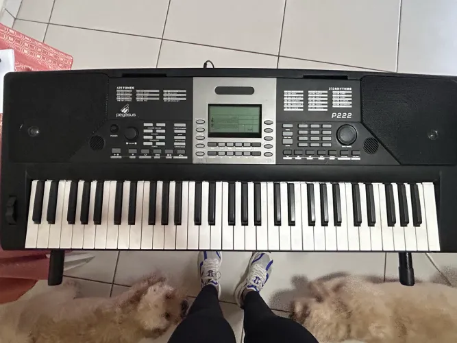 Vendo Teclado completo