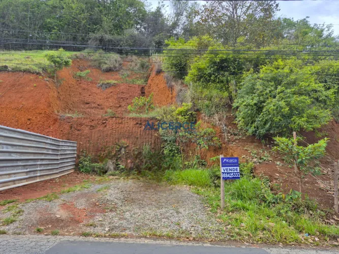 Terreno ou lote à venda medindo 312,00 m² no Bairro Borboleta.