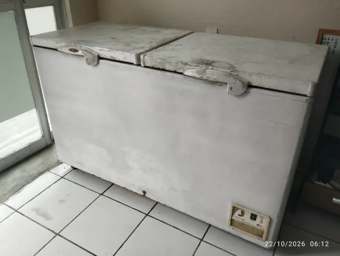 Freezer fricon duas portas
