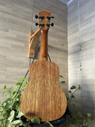 Instrumento