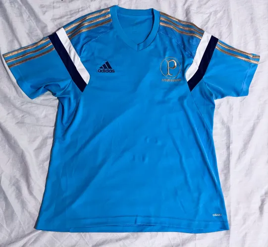 Camisa palmeiras