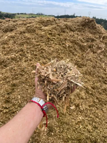 Silagem de Milho 25kg por saco