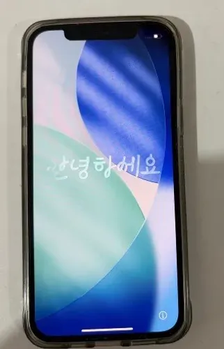 Iphone 12 (256gb)