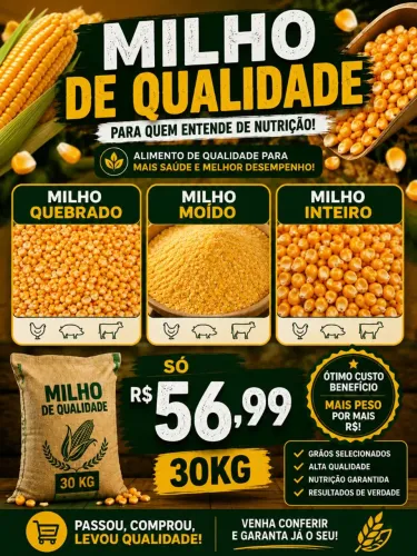 Sacas de milhos 30kg e 50kg