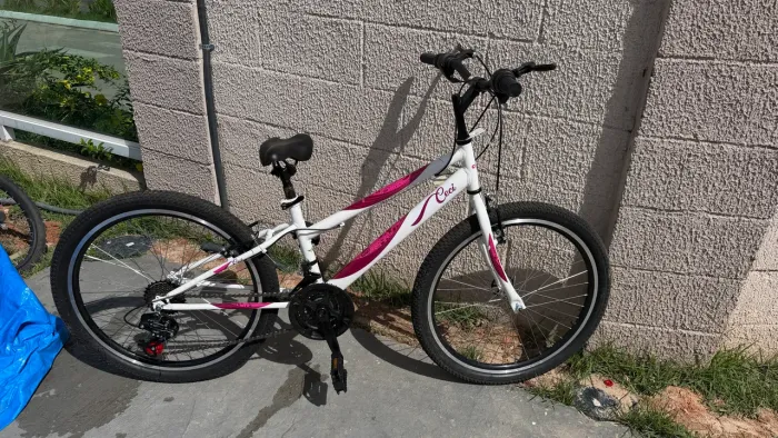 Bicicleta nova