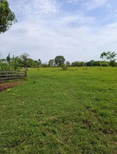 Colônia a venda