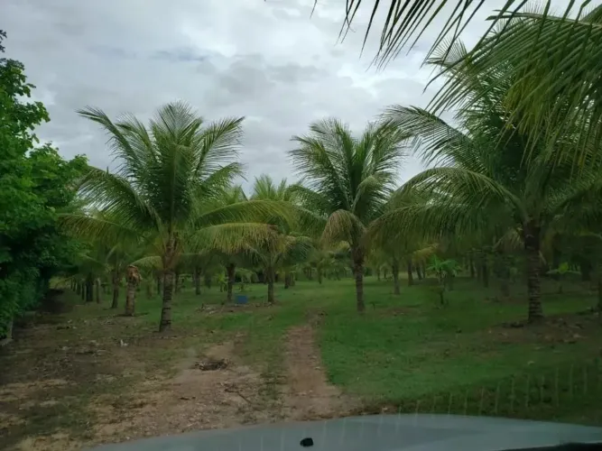 Chácara com 104 metros beira de rio à venda, 50000 m² por R$ 1.300.000 - Zona Rural - Cuia