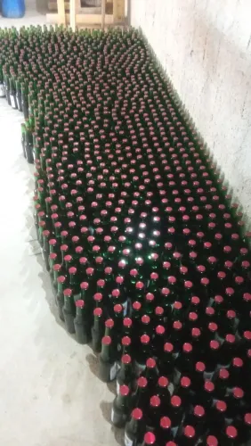 Vendo fábrica de refrigerante