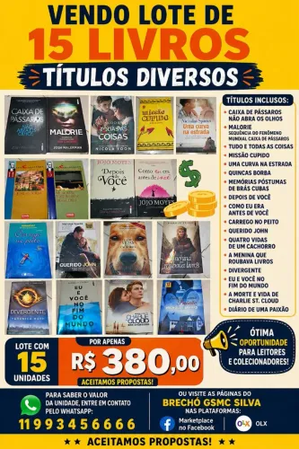 Lote com 15 livros de títulos diversos perfeito estado