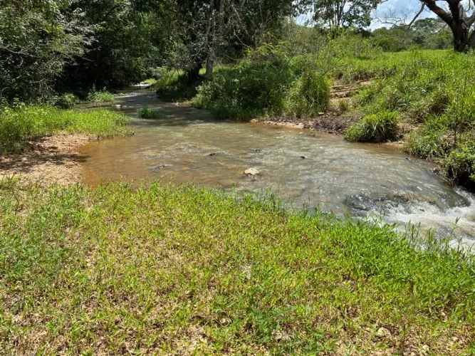 Chácara de 6 hectares próximo à Cristianopolis com córrego!