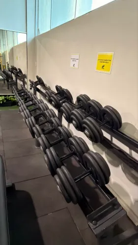 Jogo Dumbbell 
