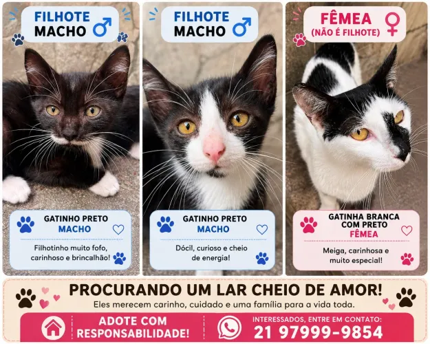 Adoção Responsável