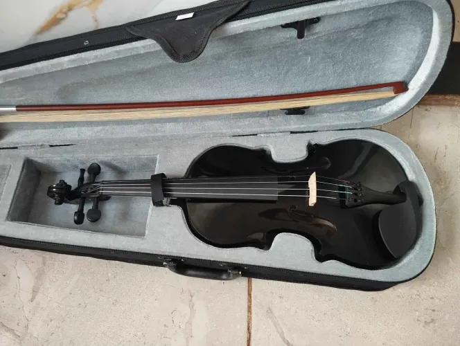 Violino