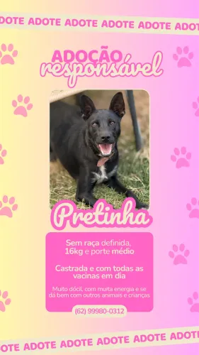 ADOÇÃO RESPONSÁVEL- Pretinha