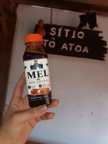 Mel de extração anual safra 2026
