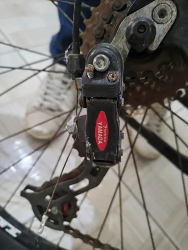 Bike Absolute Aro 29