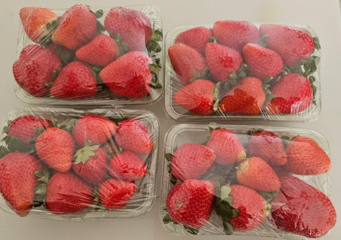 MORANGOS SELECIONADOS 7 REAIS A BANDEJA