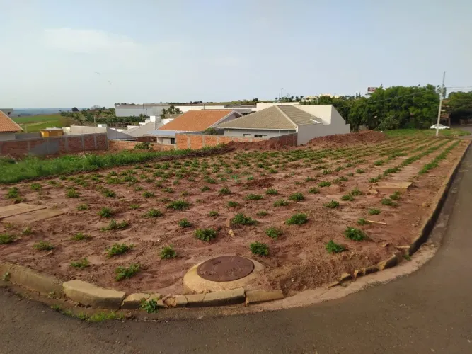 Terreno | Residencial Trevizan | Japurá