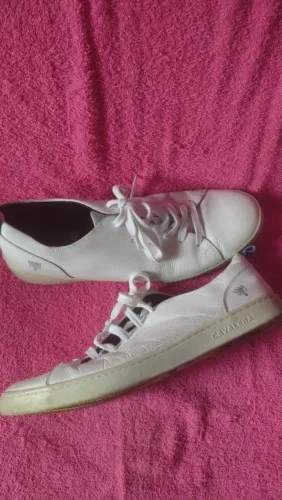 Tenis