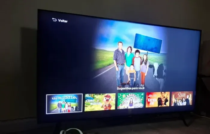 Televisão