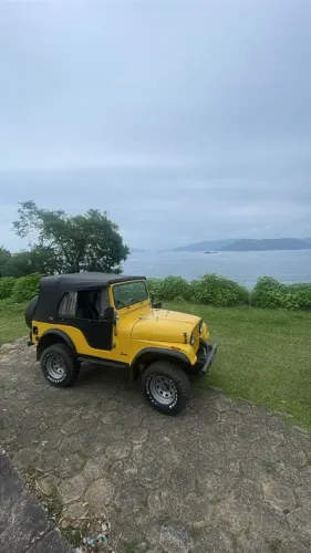 Willys Overland Jeep 2.6 12V Gasolina 2P 1964