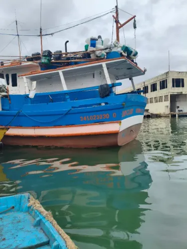 Barco Pesca Profissional