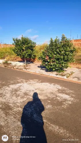 Terreno no Bairro Girassol