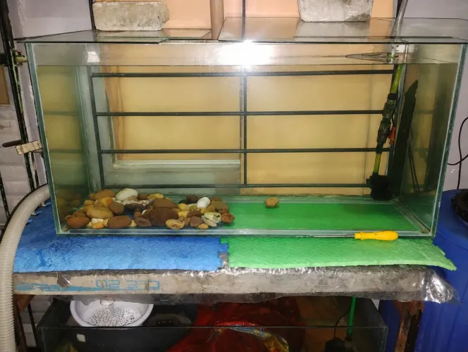 Vendo aquário de 200l