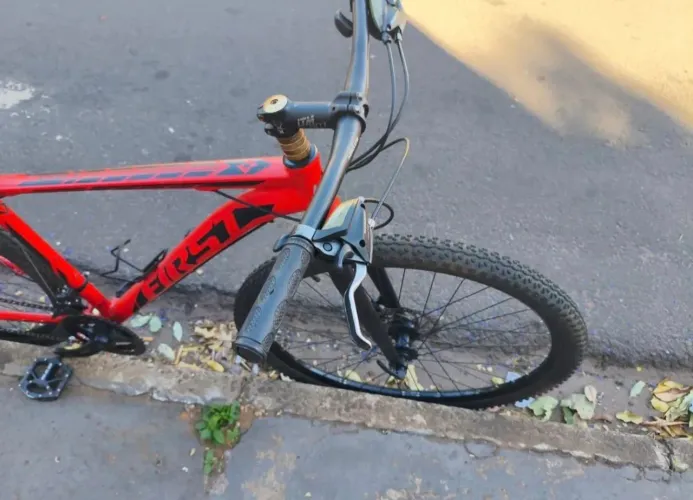 MTB aro 29