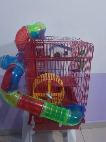 Vendo 