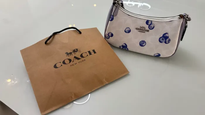 Bolsa coach