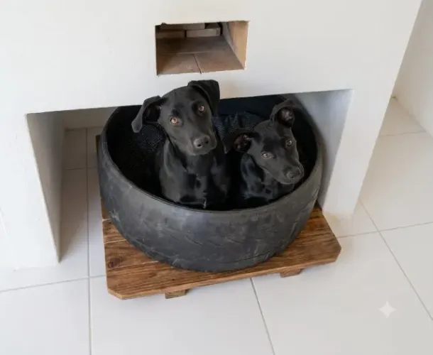URGENTE: DUAS BEBEZONAS DE 6 MESES PARA ADOÇÃO RESPONSÁVEL (DÓCEIS E LINDAS)
