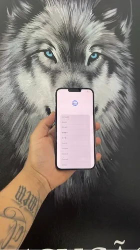 iPhone 13 Pro Max