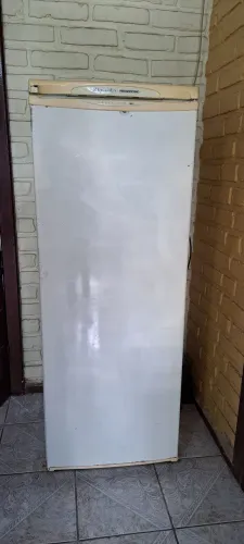 Frezzer Vertical Electrolux 127v 