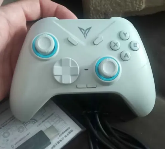 Controle Flydigi Direwolf Novo Sem uso