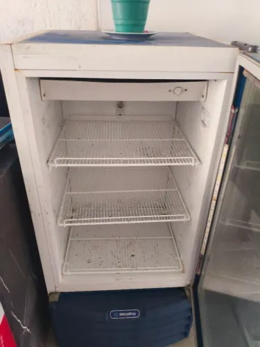 Freezer vertical