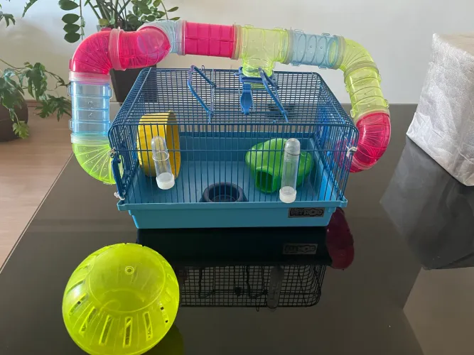 Casinha para roedores