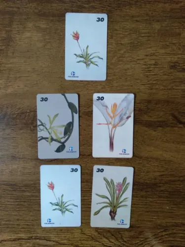 5 Cartões Telefônicos Telemar Série Ilustrações Botânicas