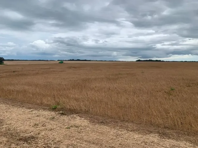 Fazenda a venda no Tocantins!!!