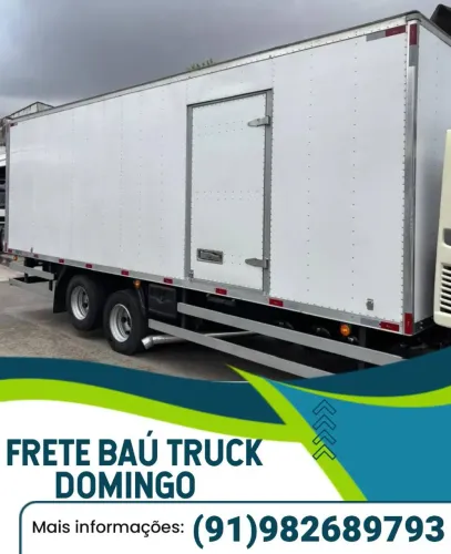 Frete Rápido Baú Truck Domingo