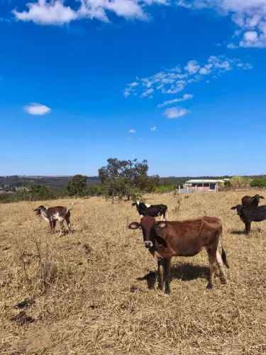 Chácara 4 Hectares na Estância do Pipiripau - Planaltina df