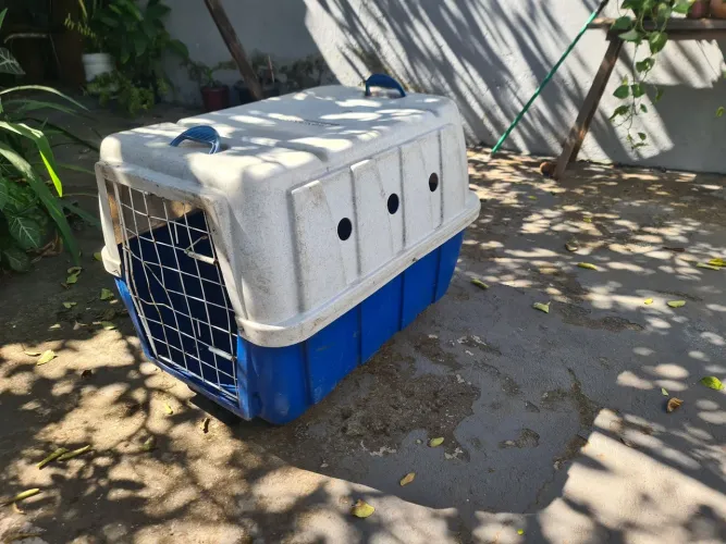 Vende