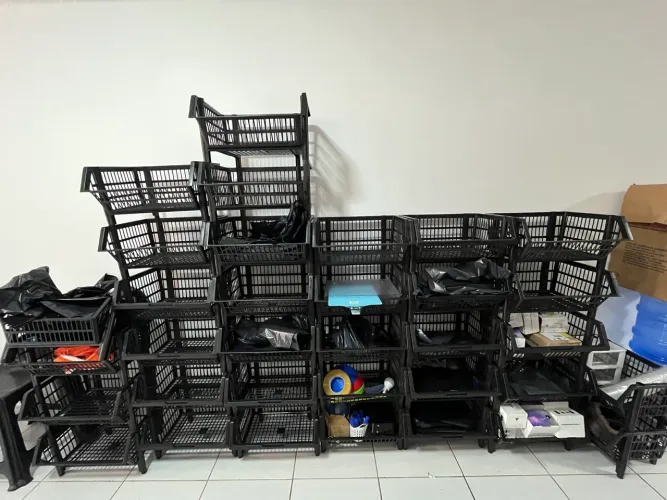 Lote de cesto organizador