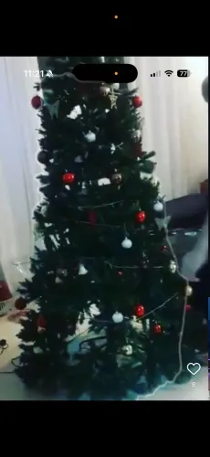 Árvore de Natal 2,20m