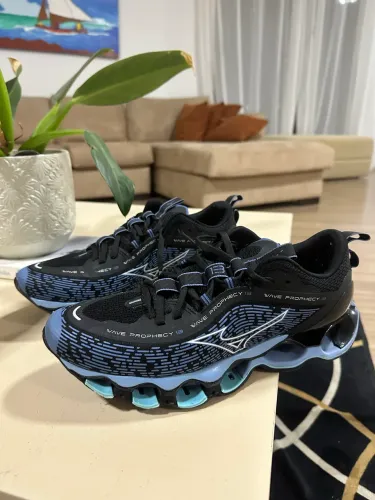 Mizuno prophecy 13 n 41 